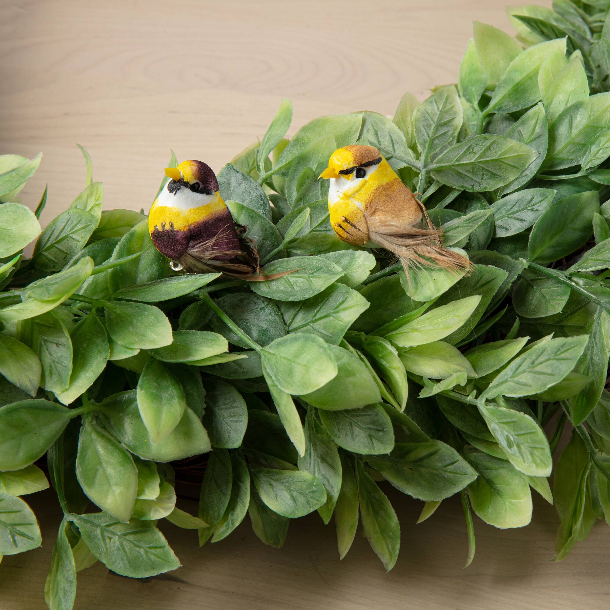 24 Packs: 2 ct. (48 total) Mushroom Birds by Ashland™